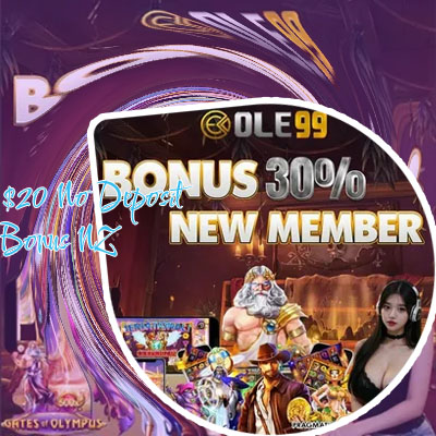 $20 no deposit bonus nz